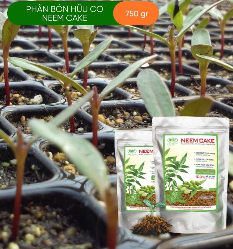 KIỂM SOÁT TUYẾN TRÙNG