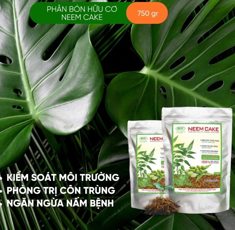 KIỂM SOÁT TUYẾN TRÙNG
