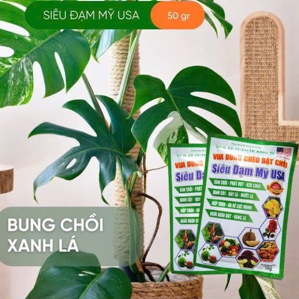 SIÊU ĐẠM MỸ