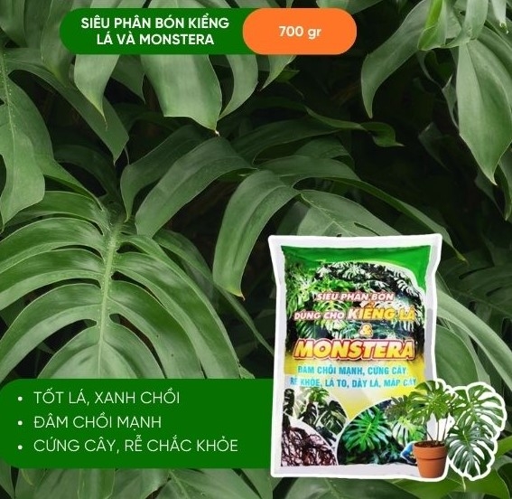 PHÂN BÓN KIỂNG LÁ