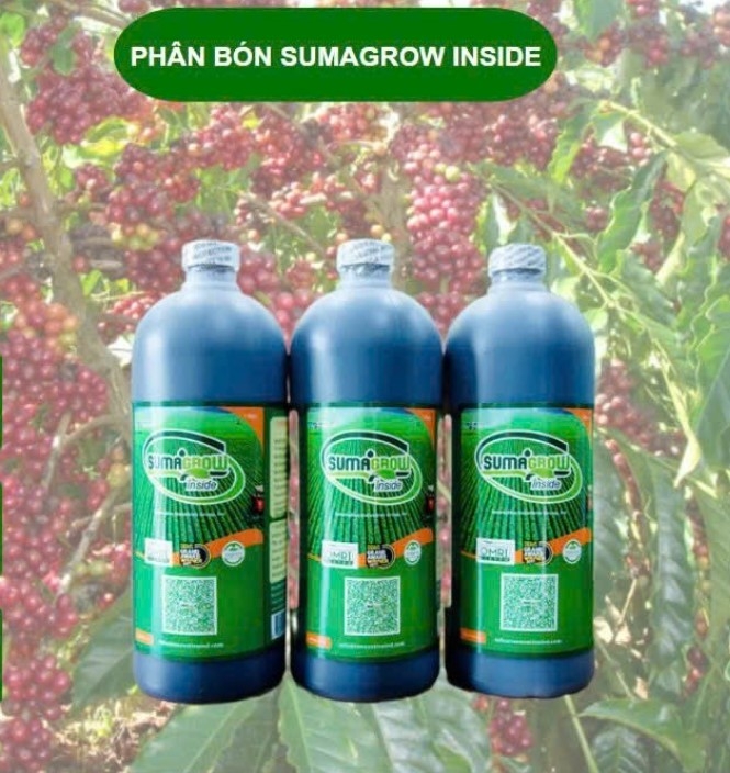 PHÂN BÓN HỮU CƠ VI SINH