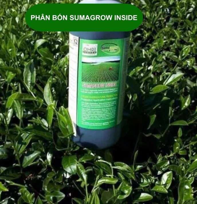 PHÂN BÓN HỮU CƠ VI SINH