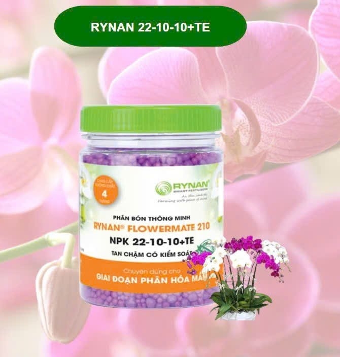 PHÂN LAN RYNAN 22-10-10 + TE