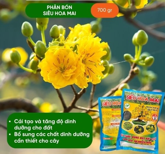 PHÂN BÓN MAI VÀNG