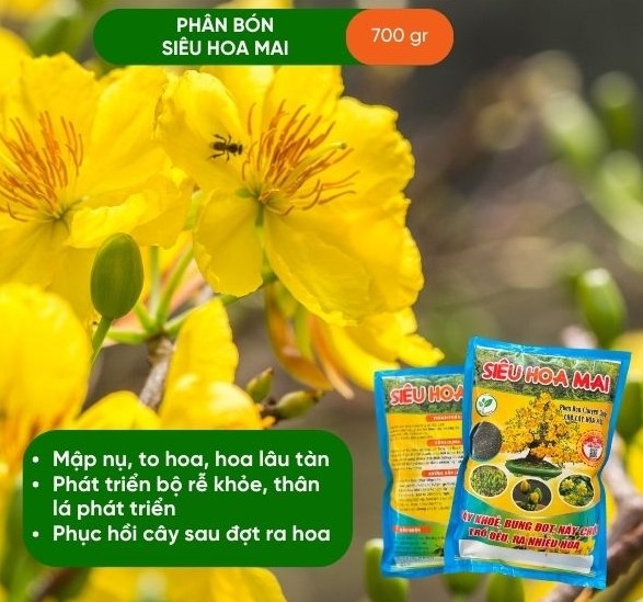 PHÂN BÓN MAI VÀNG