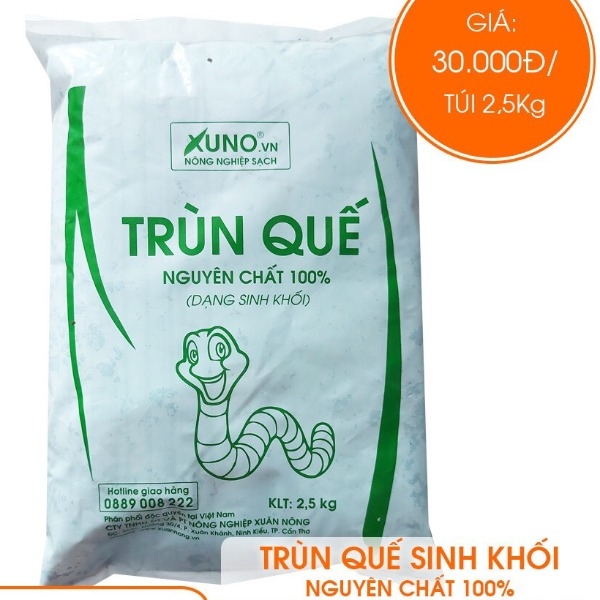 TRÙN QUẾ  2,5KG