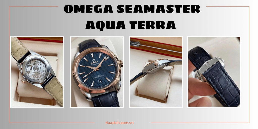 Omega Automatic Seamaster Aqua Terra Seamaster Co-Axial Master Chronometer 220.23.38.20.03.001 (22023382003001)