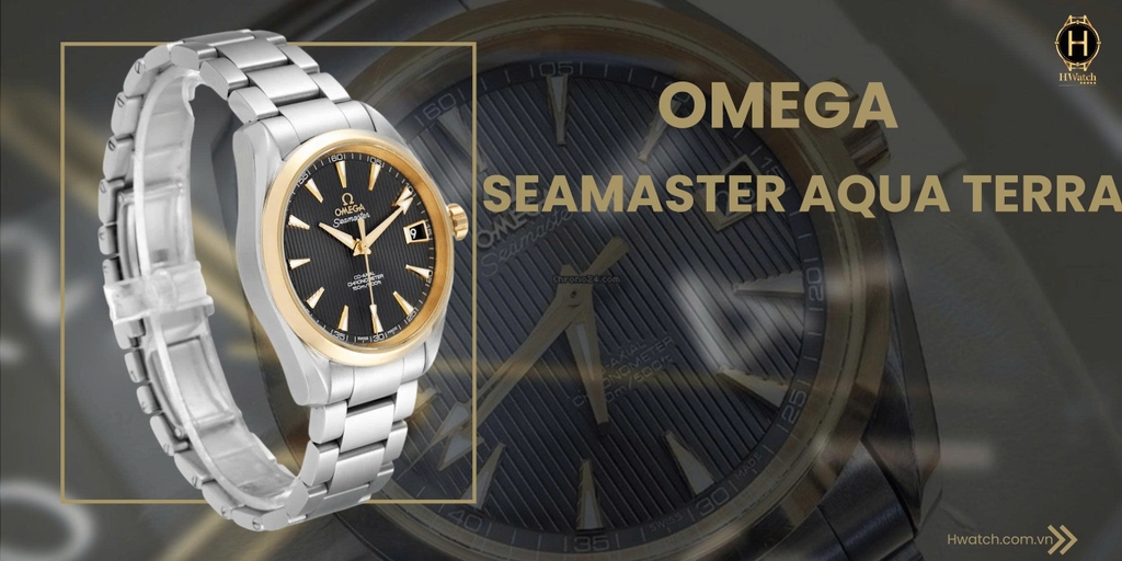 Omega Automatic Seamaster Aqua Terra 231.20.39.21.06.004 ( 23120392106004  