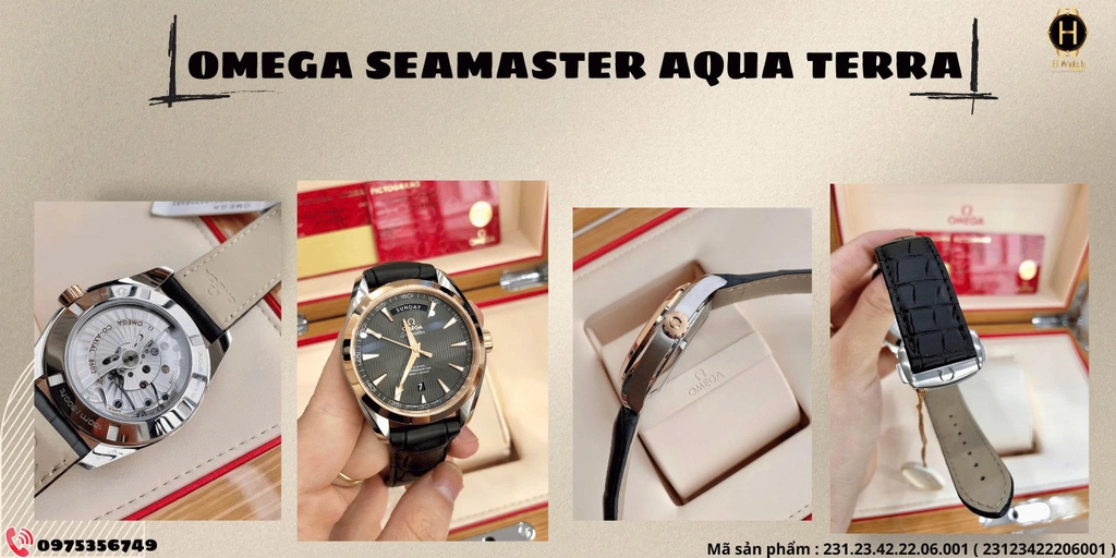 Omega Automatic Seamaster Aqua Terra 231.23.42.22.06.001 ( 23123422206001 )