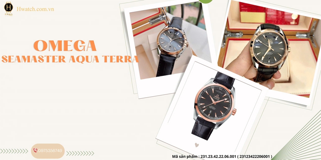 Omega Automatic Seamaster Aqua Terra 231.23.42.22.06.001 ( 23123422206001 )
