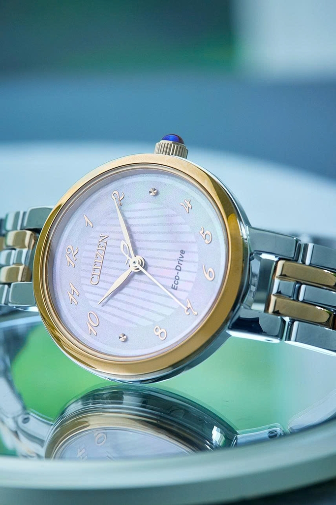 Citizen Quartz Eco-Drive L EM0996-84Y