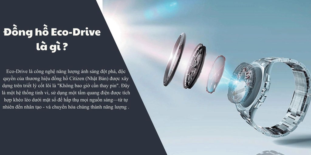 Tổng hợp bộ máy của đồng hồ