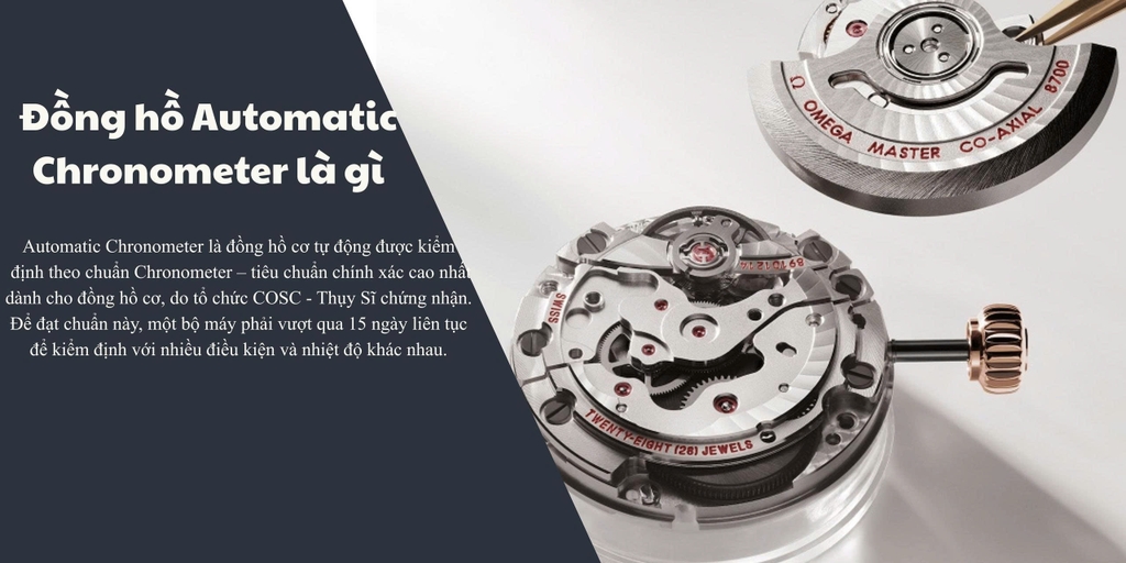 Tổng hợp bộ máy của đồng hồ