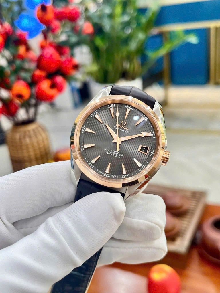 Đồng Hồ Nam Omega Automatic Seamaster Aqua Terra 231.23.39.21.06.001 ( 23123392106001 )