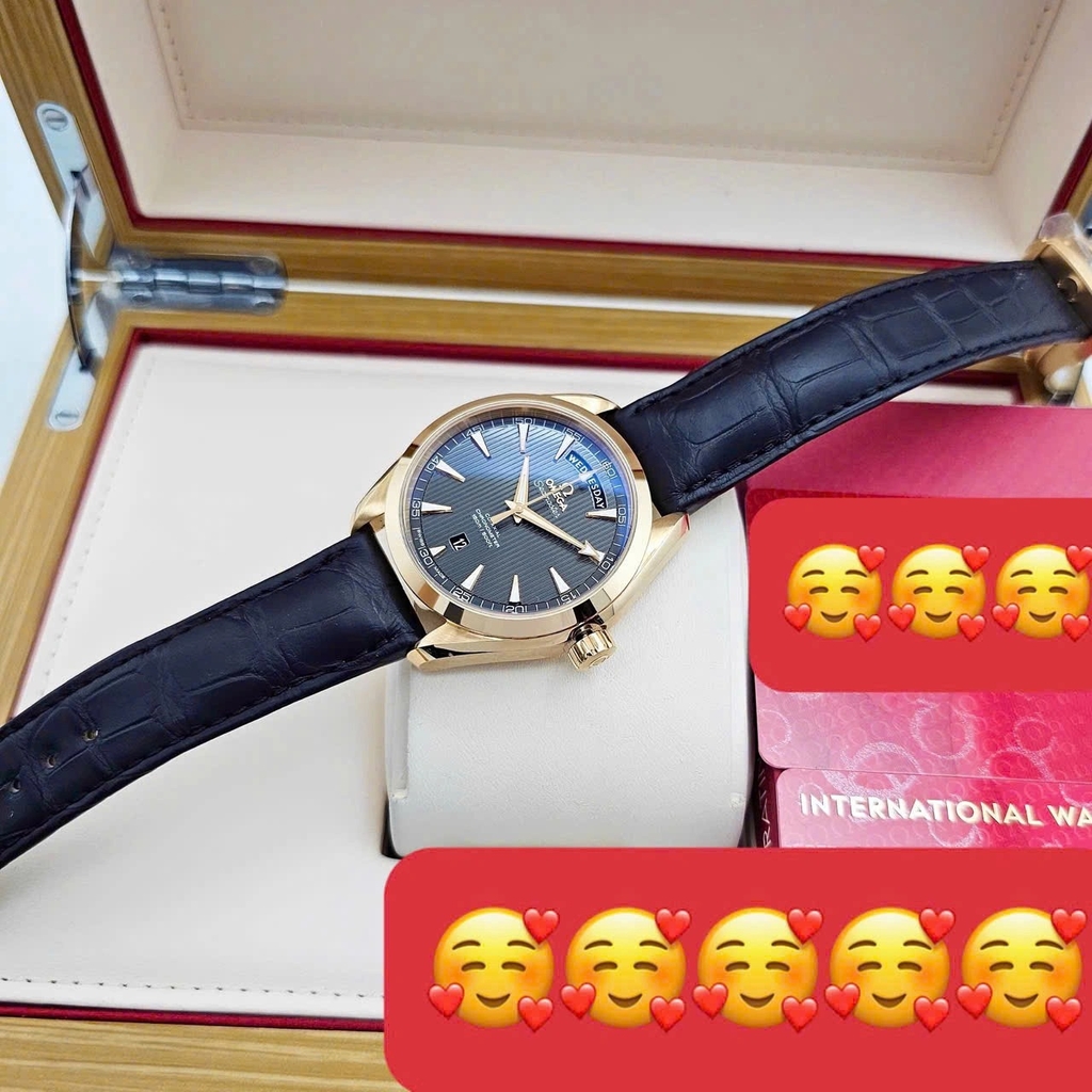 Đồng Hồ Nam Omega Automatic Seamaster Aqua Terra 231.53.42.22.06.001 ( 23153422206001 )