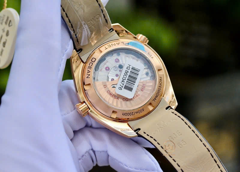 Đồng Hồ Nam Omega Automatic SeamasterPlanet Ocean 600M 232.58.42.21.01.001 ( 23258422101001 )
