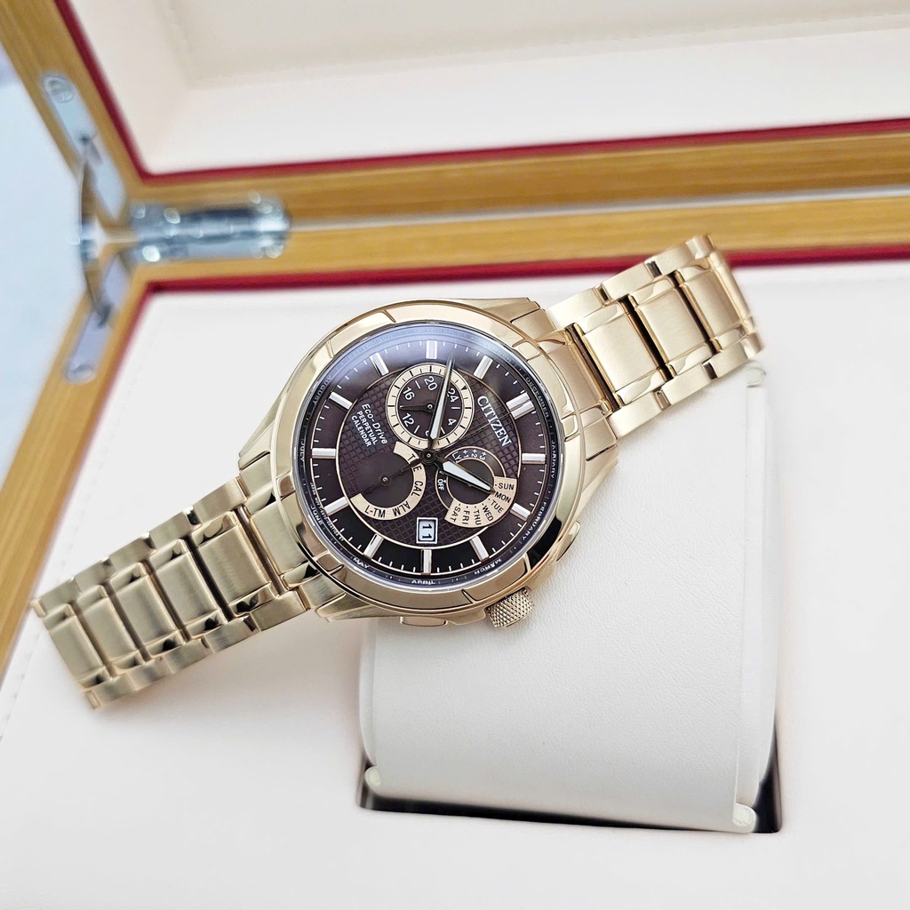 Đồng Hồ Nam Citizen Eco-Drive Perpetual GMT Brown Dial BL8163-50X
