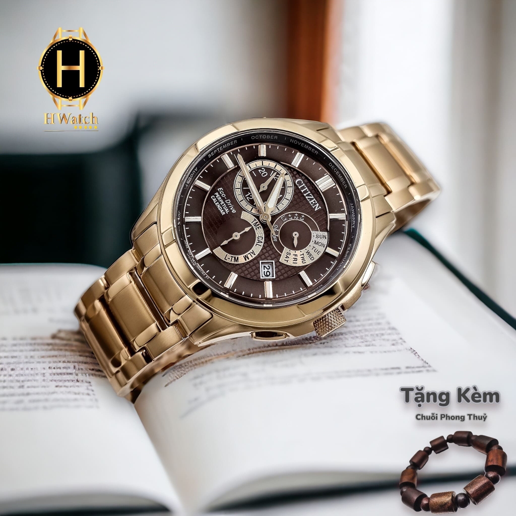 Đồng Hồ Nam Citizen Eco-Drive Perpetual GMT Brown Dial BL8163-50X