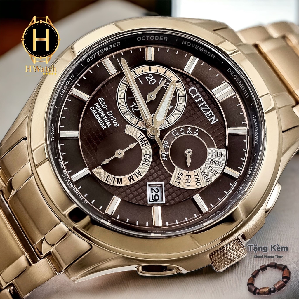 Đồng Hồ Nam Citizen Eco-Drive Perpetual GMT Brown Dial BL8163-50X