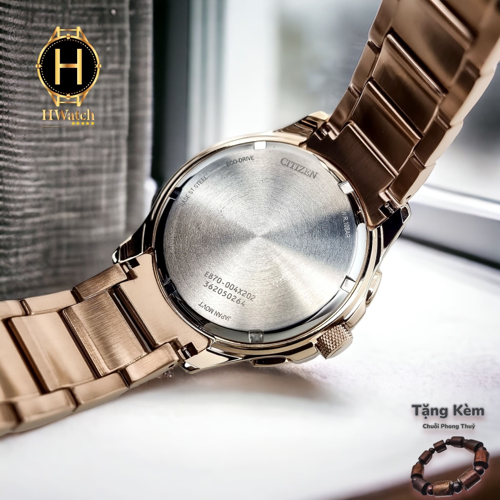 Đồng Hồ Nam Citizen Eco-Drive Perpetual GMT Brown Dial BL8163-50X
