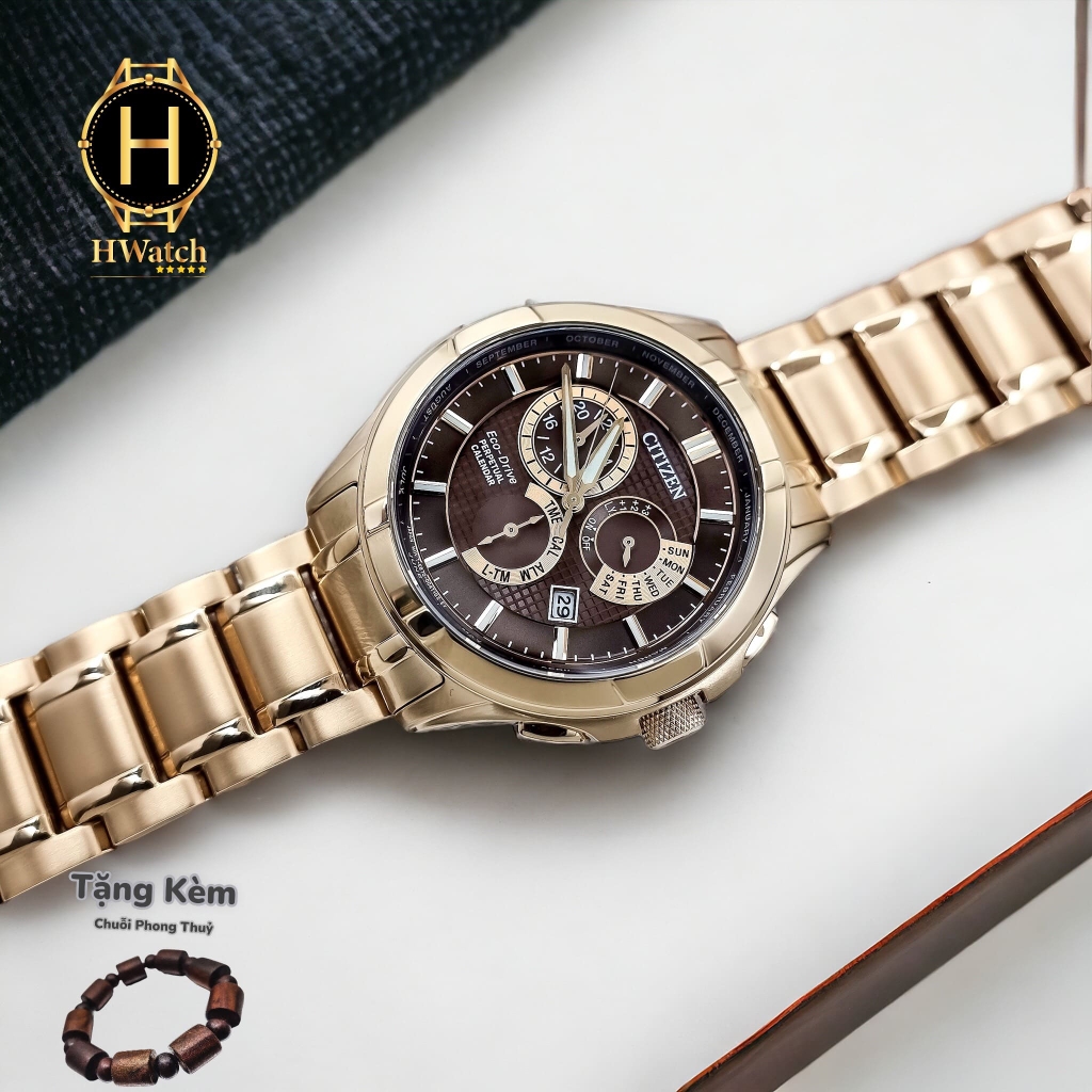 Đồng Hồ Nam Citizen Eco-Drive Perpetual GMT Brown Dial BL8163-50X