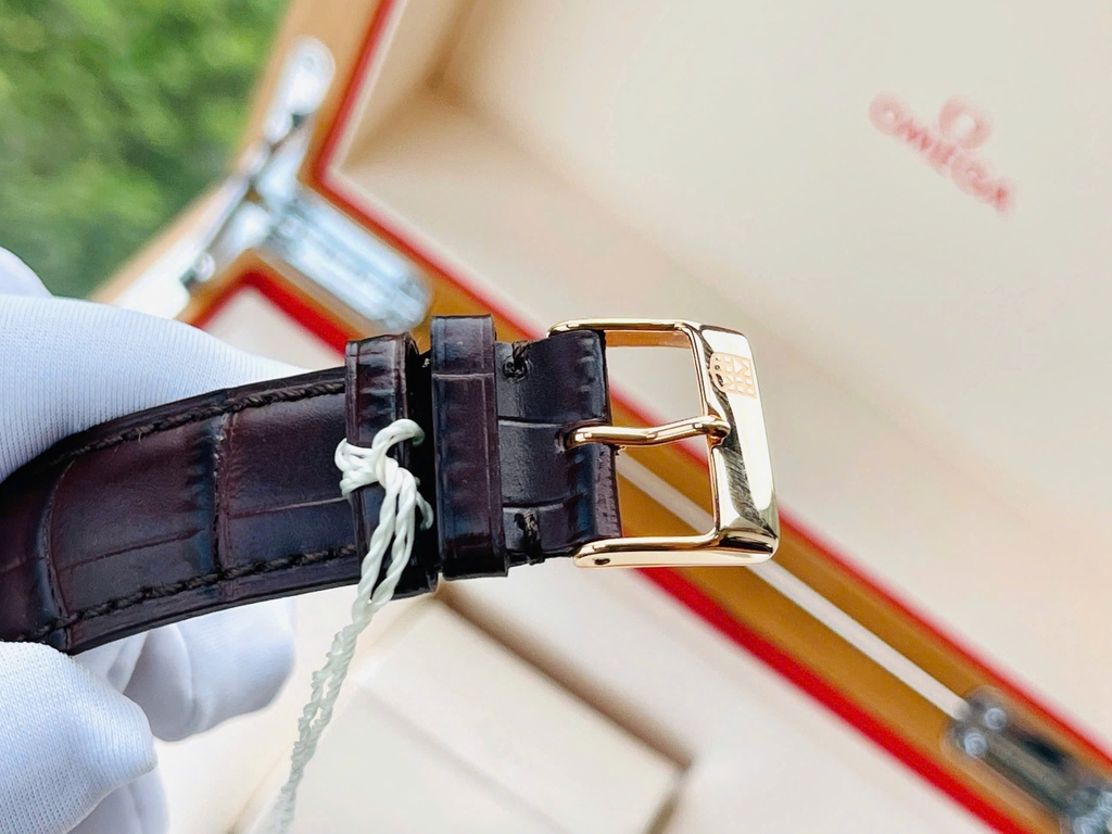 Đồng hồ Nam Frederique Constant Automatic FC-303V5B4 ( FC303V5B4 )