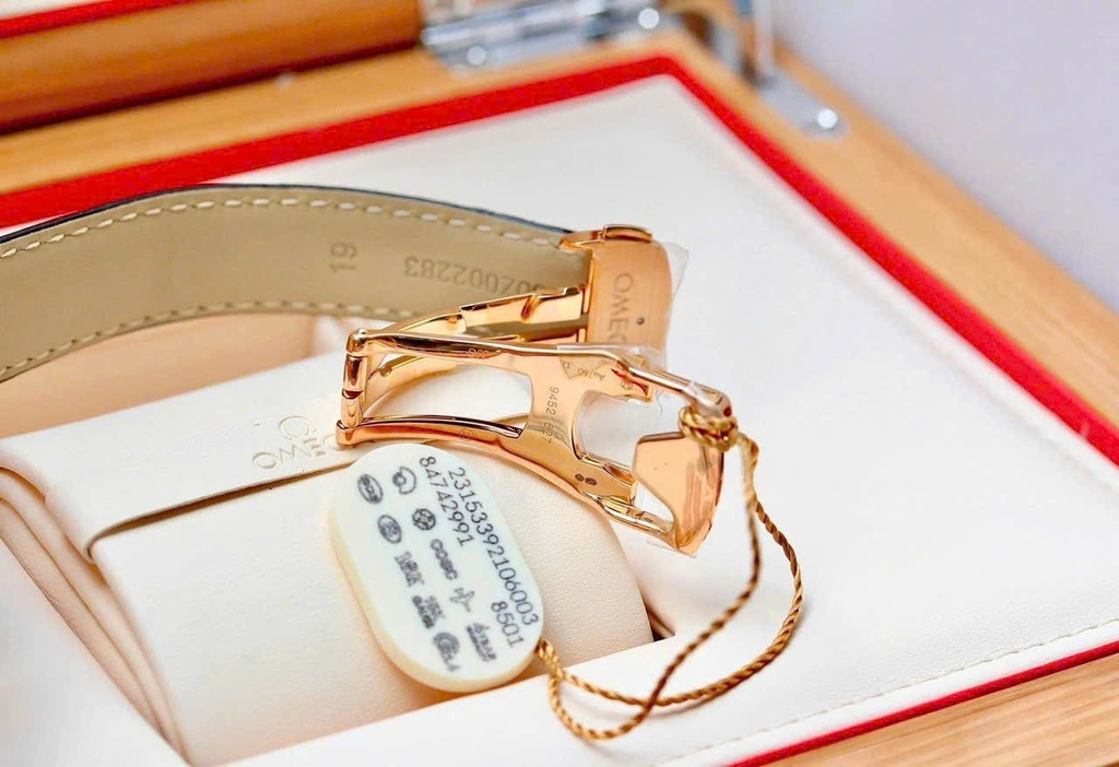 Đồng Hồ Nam Omega Automatic Seamaster Aqua Terra 231.53.39.21.06.003 ( 23153392106003 )