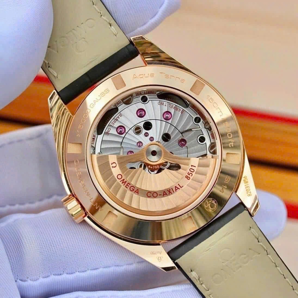 Đồng Hồ Nam Omega Automatic Seamaster Aqua Terra 231.53.42.21.06.002 ( 23153422106002 )