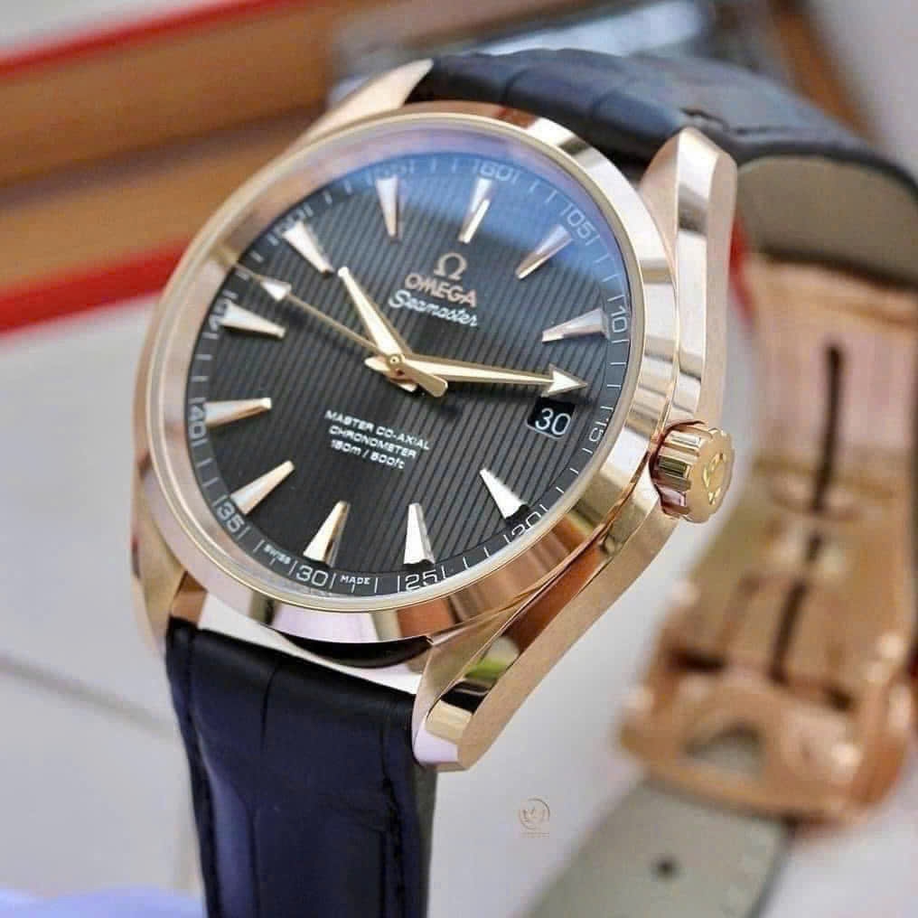 Đồng Hồ Nam Omega Automatic Seamaster Aqua Terra 231.53.42.21.06.002 ( 23153422106002 )