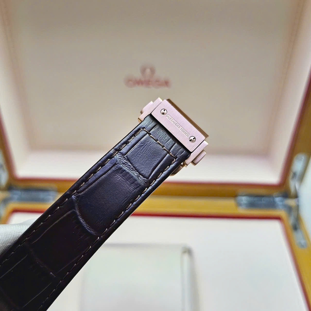 Đồng Hồ Nam Alexander Ferros Automatic 9292R-08