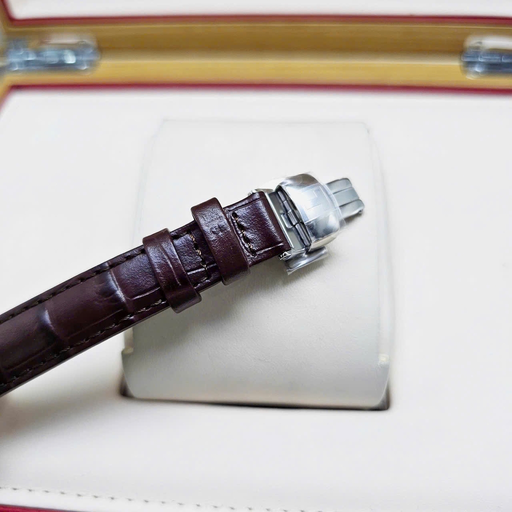 Đồng Hồ Nữ Tissot Automatic Le Locle T006.207.16.038.00 ( T0062071603800 )