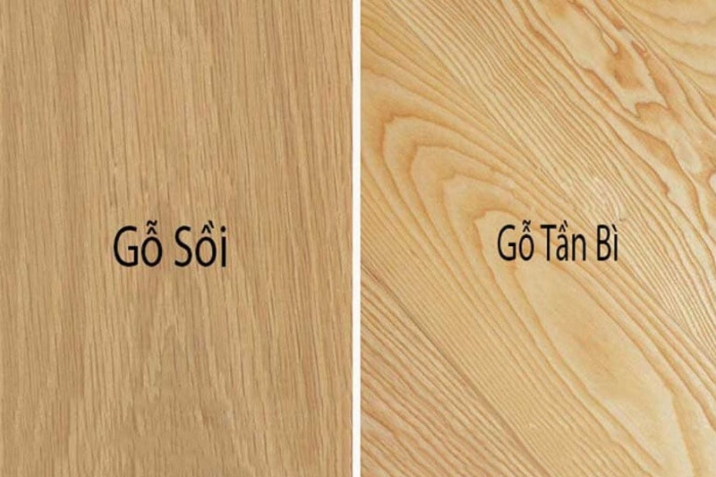 Gỗ sồi thật có vân gỗ thẳng, màu nâu ấm Gỗ Tần Bì có màu sáng hơn, vân gỗ dạng elip lớn