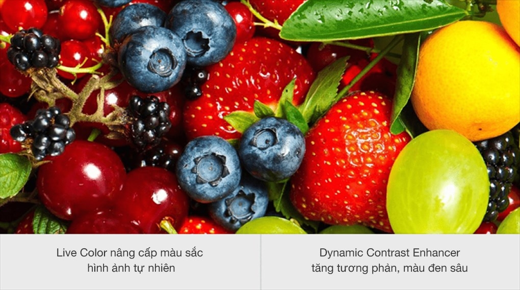 Google Tivi Sony HD 32 Inch KD-32W830K