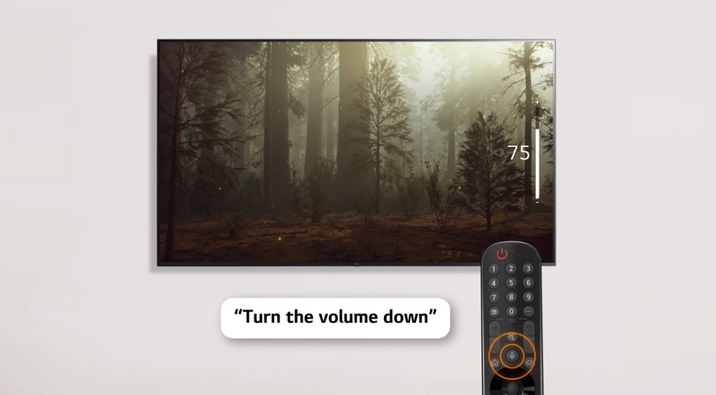 Smart Tivi LG 4K 43 Inch 43UQ7050PSA