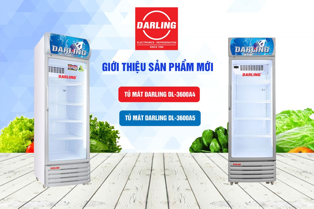 Tủ mát Darling  380/270 lít DL-3600A4