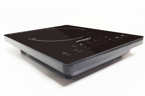 Bếp hồng ngoại đơn Sanaky VH3100HG