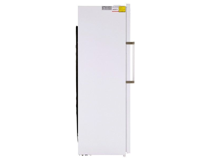 Tủ đông đứng Alaska 290 LÍT IF -29