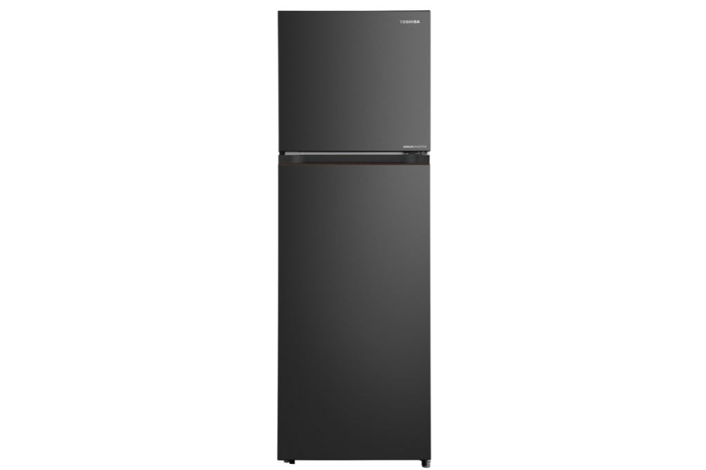 Tủ lạnh Toshiba Inverter 240 lít GR-RT310WE-PMV(68) Mẫu mới