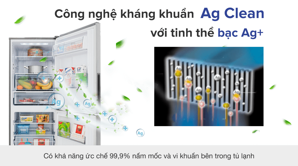 Tủ lạnh Panasonic Inverter 255 lít NR-SV280BPKV New