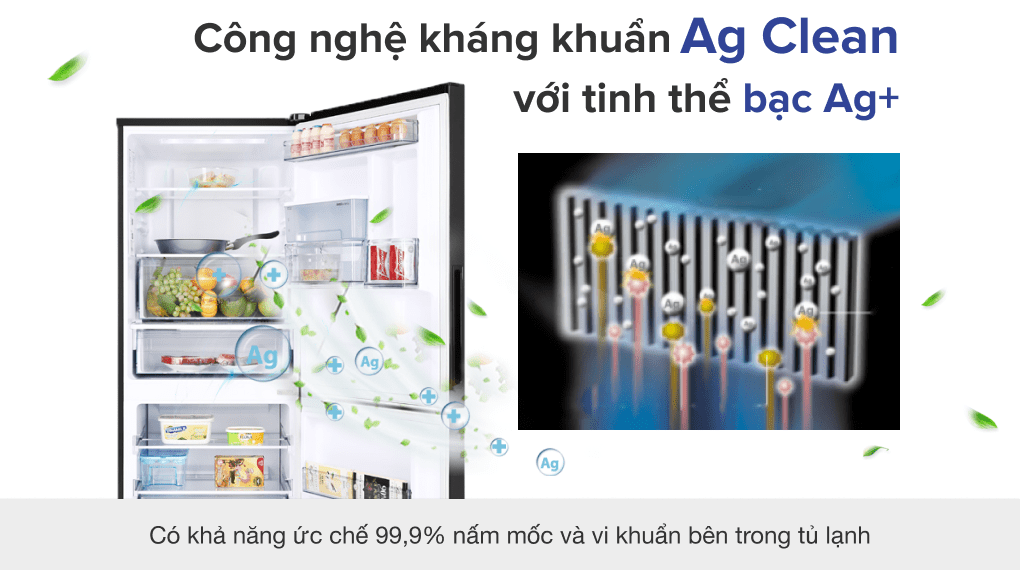 Tủ lạnh Panasonic Inverter 255 lít NR-SV280BPKV