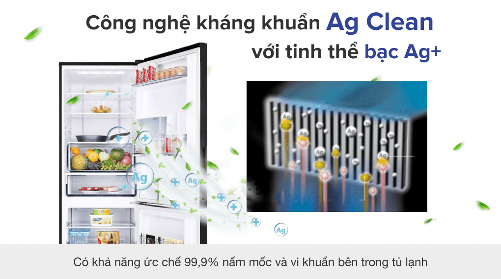 Tủ lạnh Panasonic Inverter 290 lít NR-BV320WKVN    GIÁ TẠI KHO