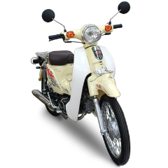 Sơn xe Honda Cub 81 màu xanh zin cực đẹp