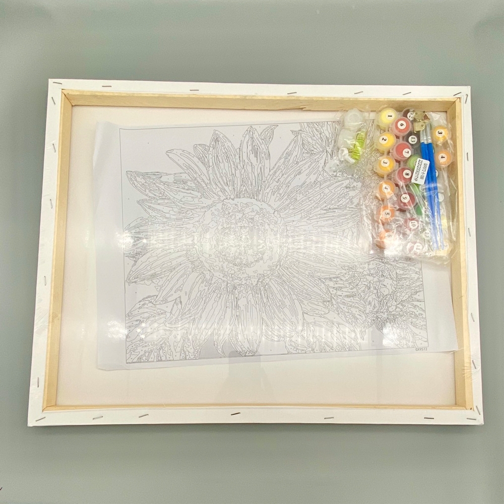 Tranh tô màu theo số Gam TY0839 40x50cm căng sẵn khung