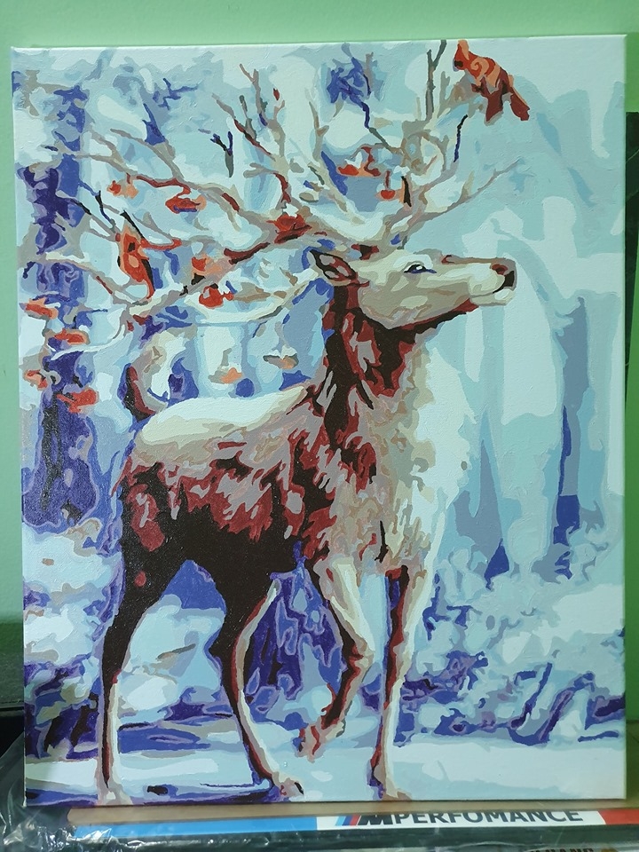 Tranh tự tô màu theo số Gam DV0249 40x50cm căng sẵn khung - DV0317