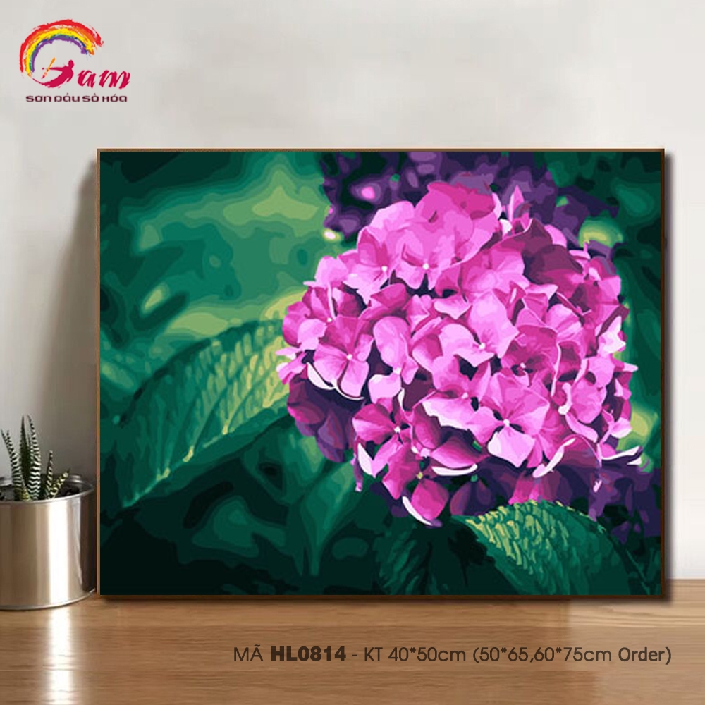 Tranh tô màu theo số sơn dầu số hóa Tranh hoa cẩm tú cầu Paint by numbers kit HL0814