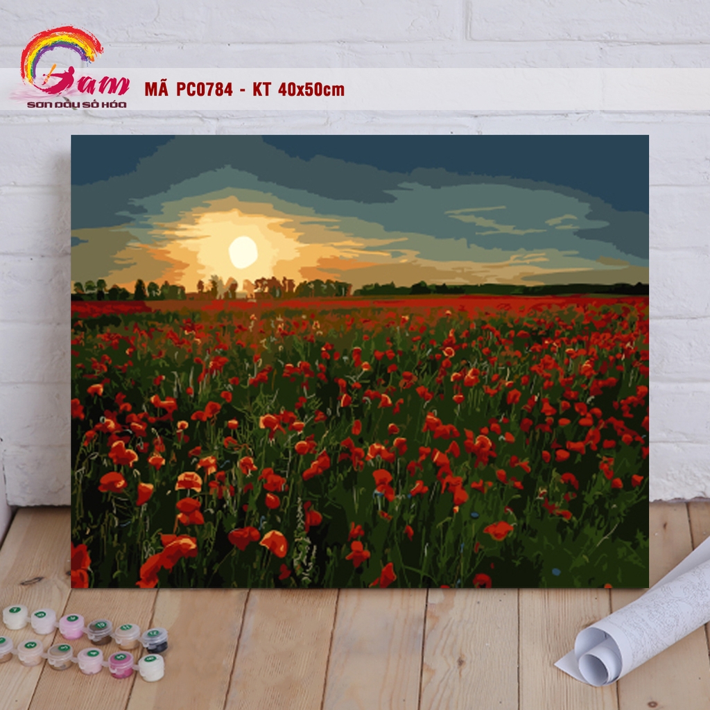 Tranh tô màu theo số Gam PC0784 40x50cm căng sẵn khung