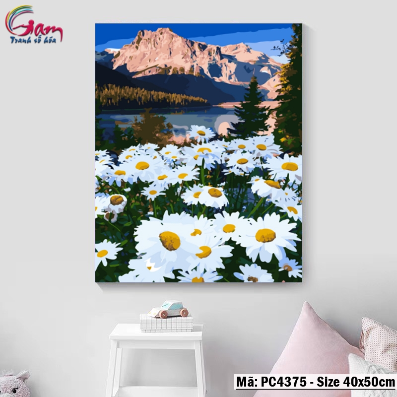 Tranh tô màu theo số phong cảnh hoa Cúc trên Cao nguyên GAM PC4375