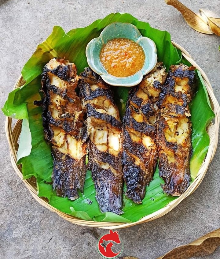 Cá Trê Cắt Đầu