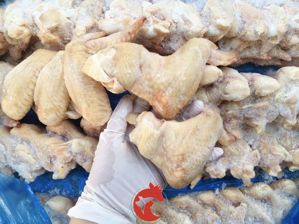 Cánh gà xếp lớp