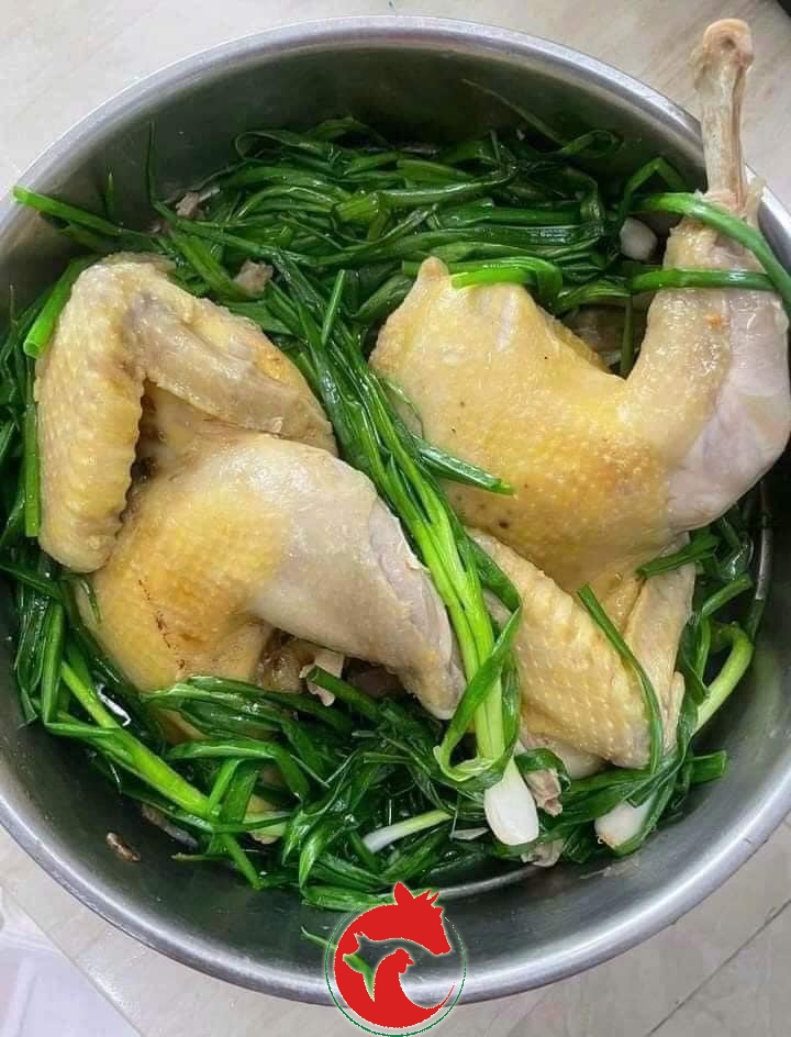 GÀ DAI